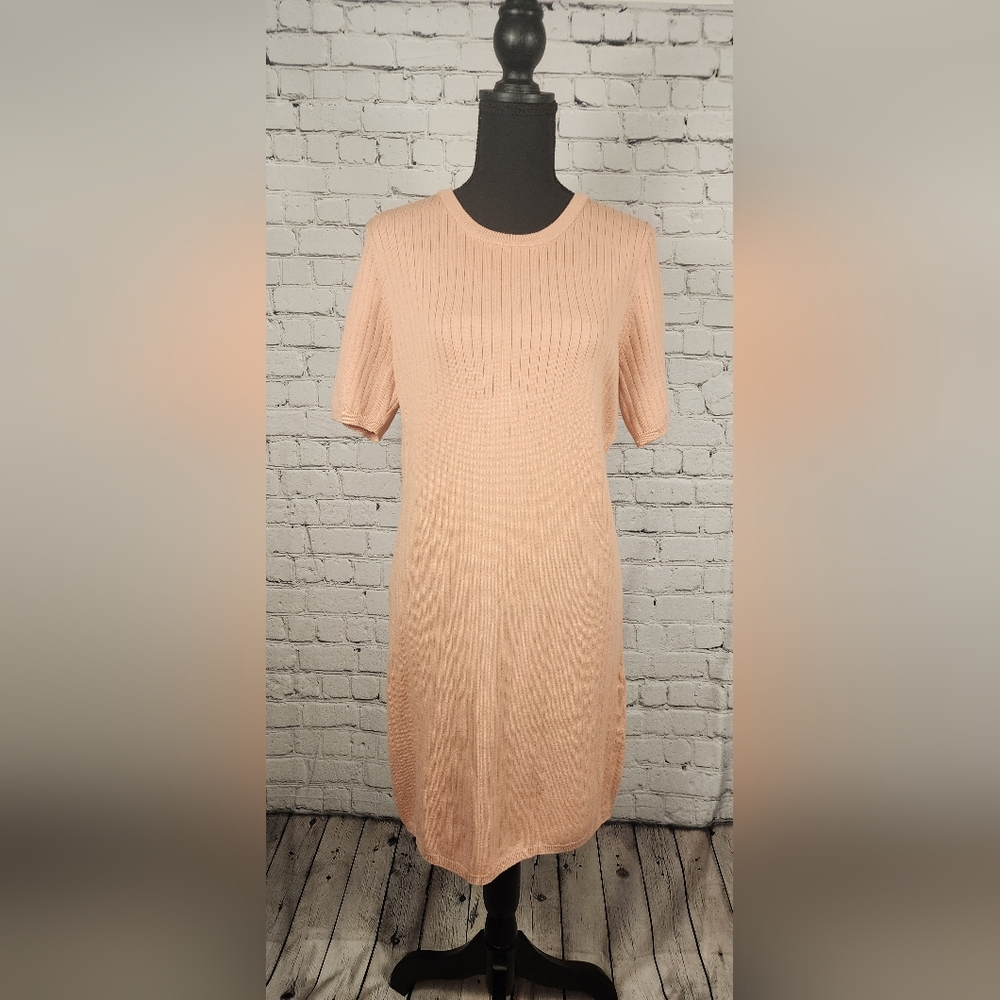 Stitches & Stripes Light Pink Dress NWT